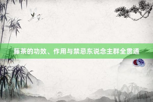 藤茶的功效、作用与禁忌东说念主群全贯通