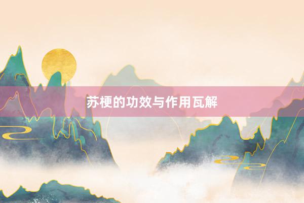 苏梗的功效与作用瓦解